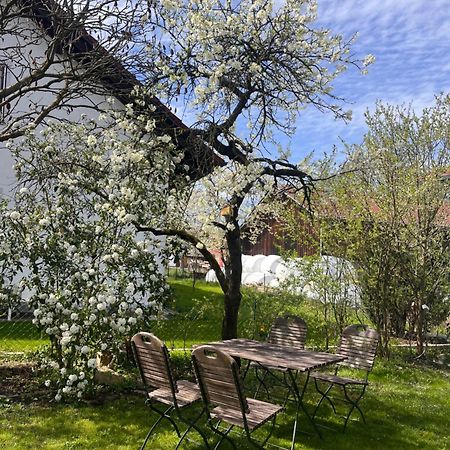 Zimmer Zum Wohlfuehlen Eching  Exteriör bild