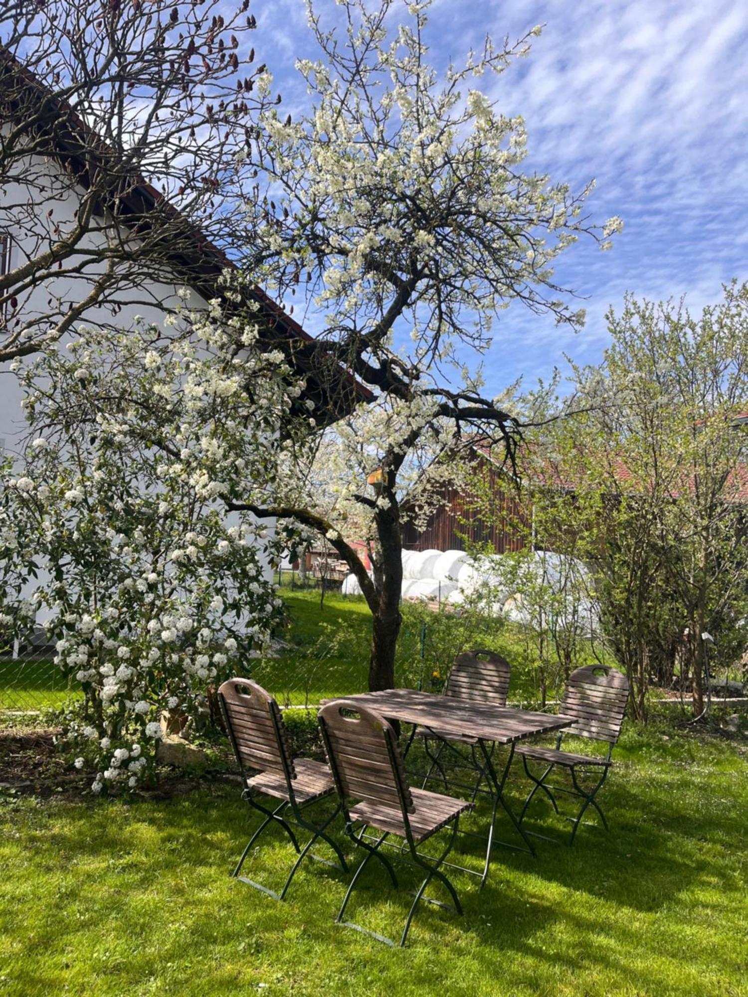 Zimmer Zum Wohlfuehlen Eching  Exteriör bild